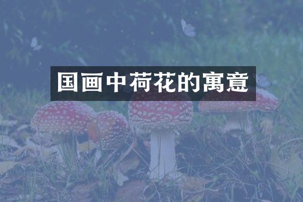 国画中荷花的寓意