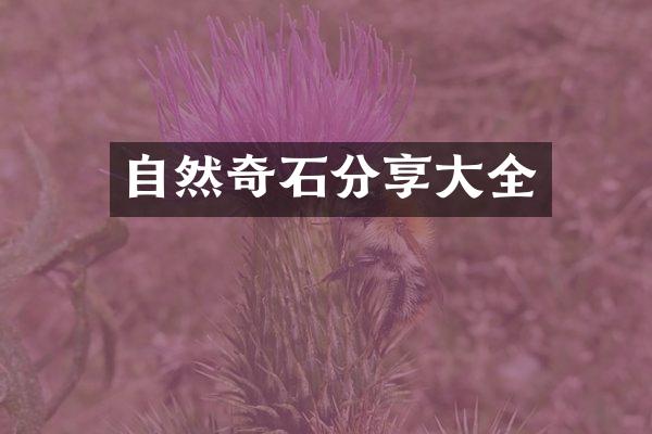 自然奇石分享大全
