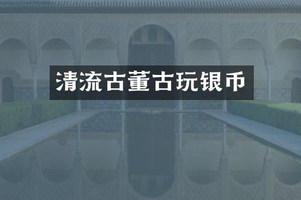 清流古董古玩银币