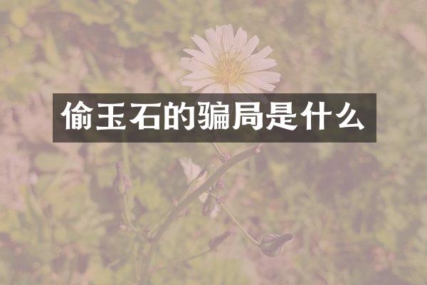 偷玉石的骗局是什么