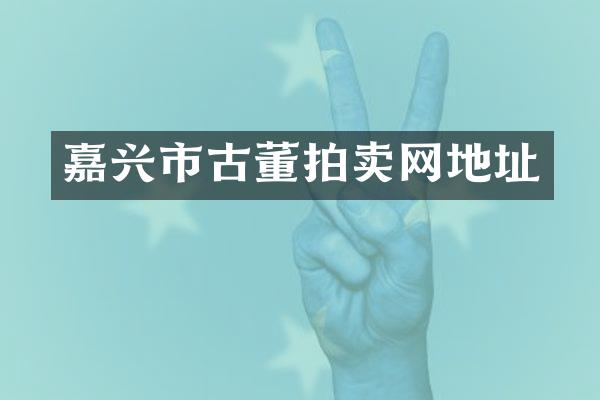 嘉兴市古董拍卖网地址