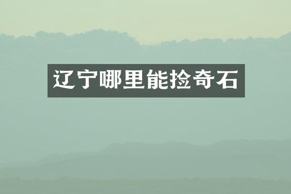 辽宁哪里能捡奇石