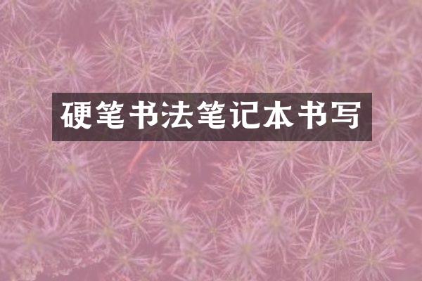 硬笔书法笔记本书写
