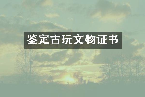 鉴定古玩文物证书