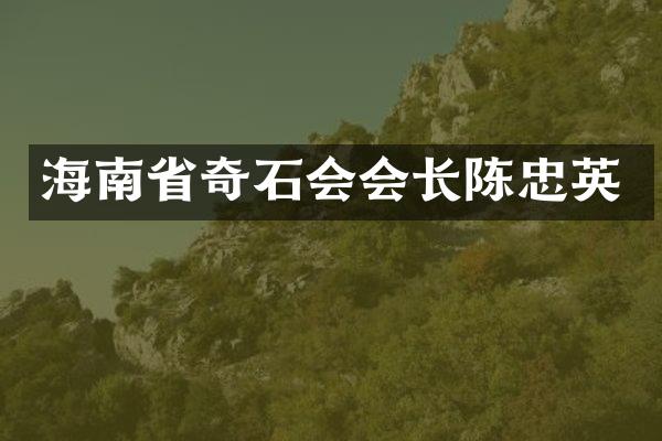 海南省奇石会会长陈忠英