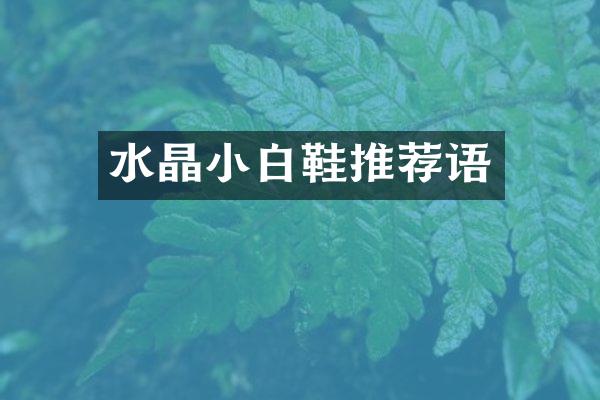 水晶小白鞋推荐语