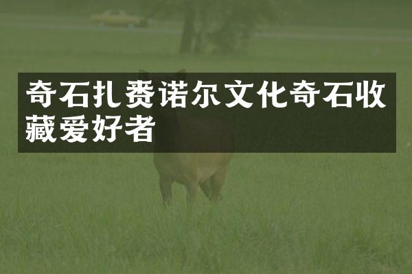 奇石扎赉诺尔文化奇石收藏爱好者