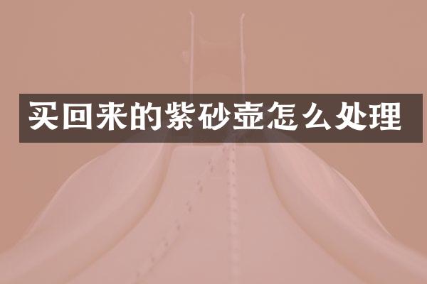 买回来的紫砂壶怎么处理