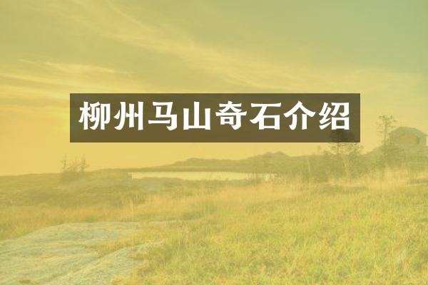 柳州马山奇石介绍