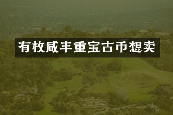 有枚咸丰重宝古币想卖