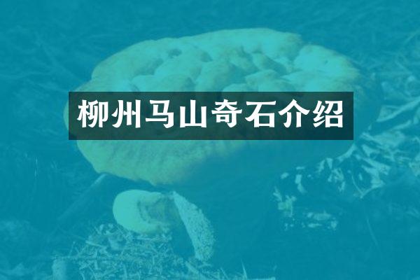 柳州马山奇石介绍