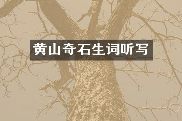 黄山奇石生词听写