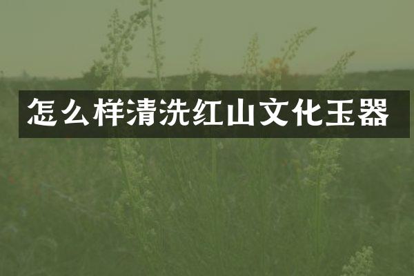 怎么样清洗红山文化玉器