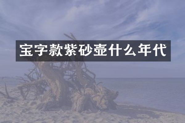 宝字款紫砂壶什么年代