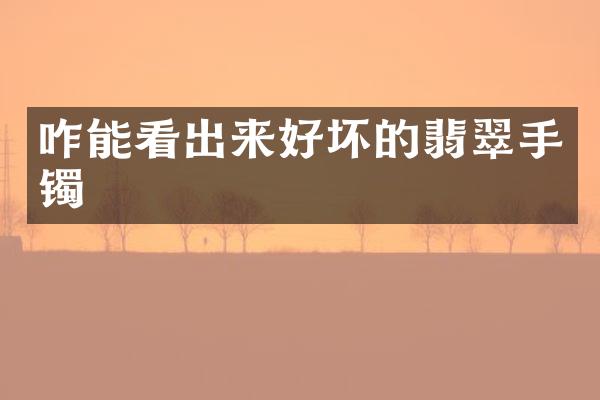 咋能看出来好坏的翡翠手镯