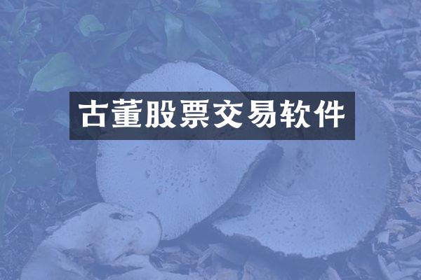 古董股票交易软件