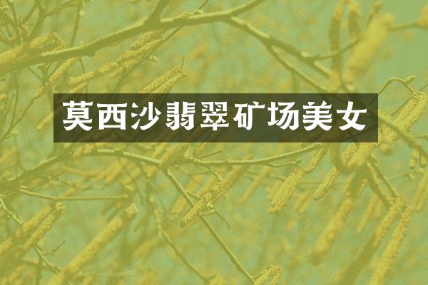 莫西沙翡翠矿场