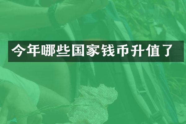 今年哪些国家钱币升值了
