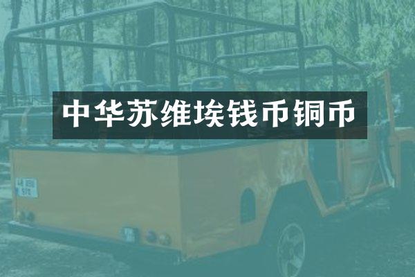 中华苏维埃钱币铜币