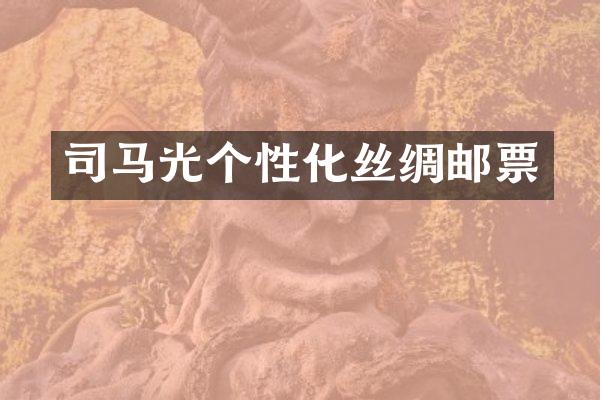 司马光个性化丝绸邮票