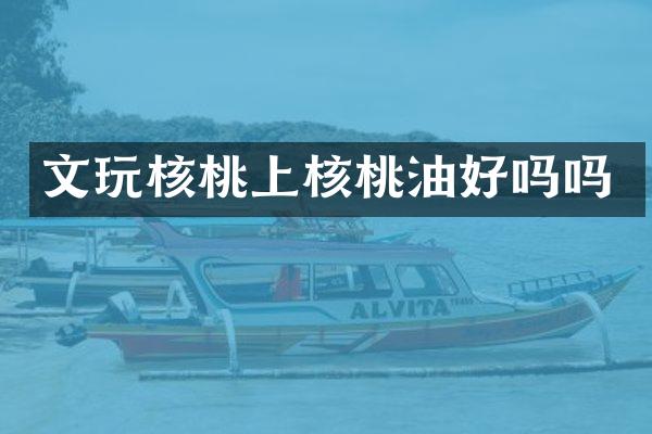 文玩核桃上核桃油好吗吗