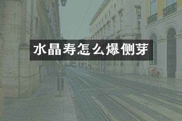 水晶寿怎么爆侧芽