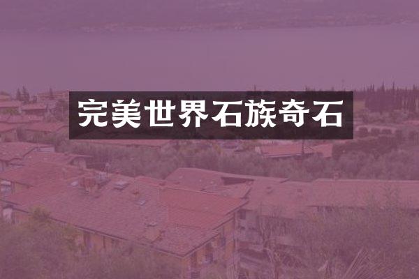 完美世界石族奇石