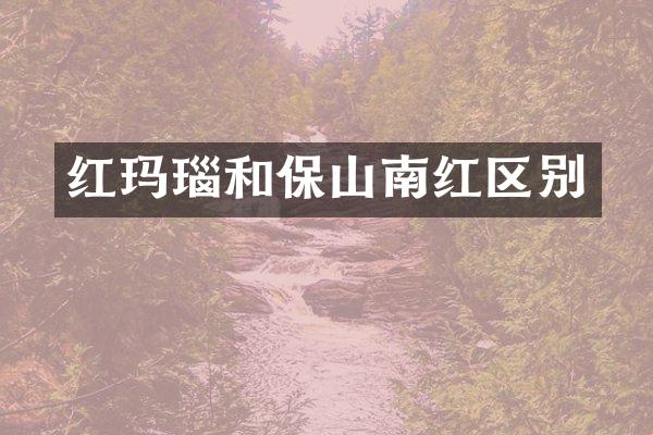 红玛瑙和保山南红区别
