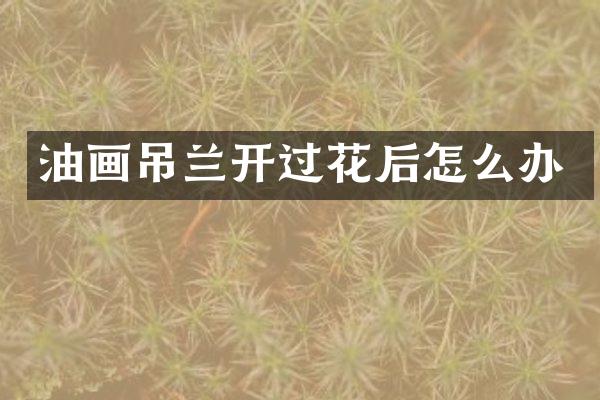 油画吊兰开过花后怎么办