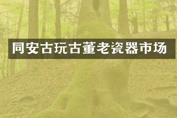 同安古玩古董老瓷器市场