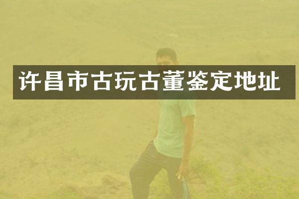 许昌市古玩古董鉴定地址