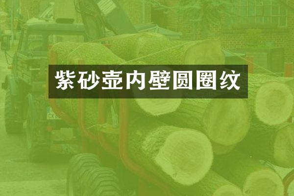 紫砂壶内壁圆圈纹