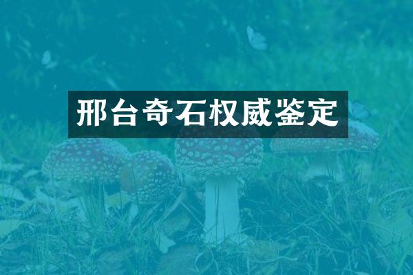 邢台奇石权威鉴定