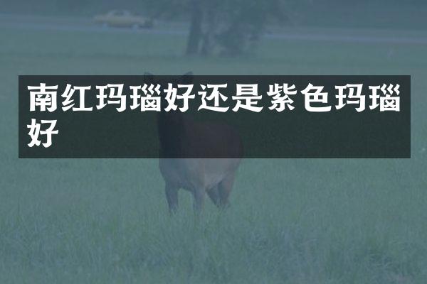 南红玛瑙好还是紫色玛瑙好