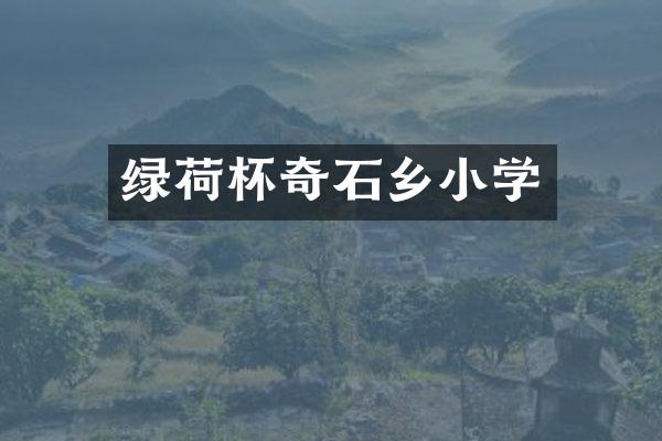 绿荷杯奇石乡小学