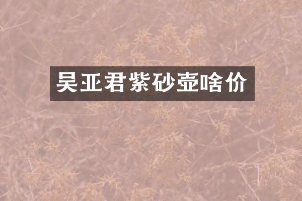 吴亚君紫砂壶啥价