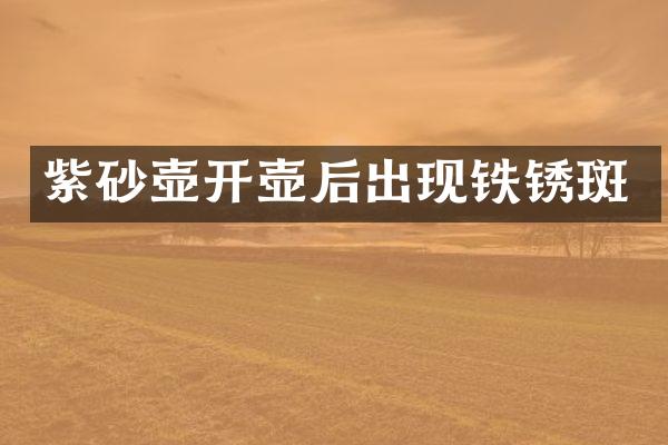 紫砂壶开壶后出现铁锈斑