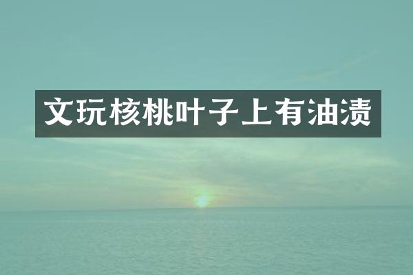 文玩核桃叶子上有油渍