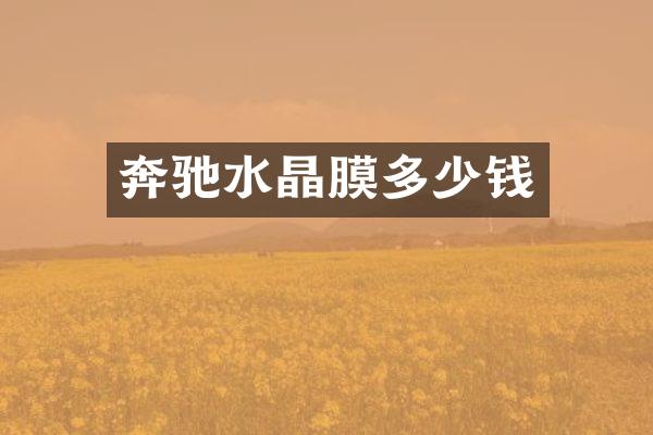 奔驰水晶膜多少钱