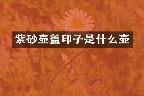 紫砂壶盖印子是什么壶