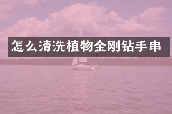 怎么清洗植物金刚钻手串