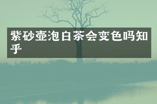 紫砂壶泡白茶会变色吗知乎