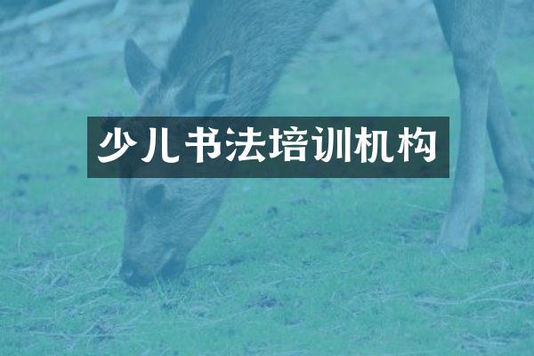少儿书法培训机构