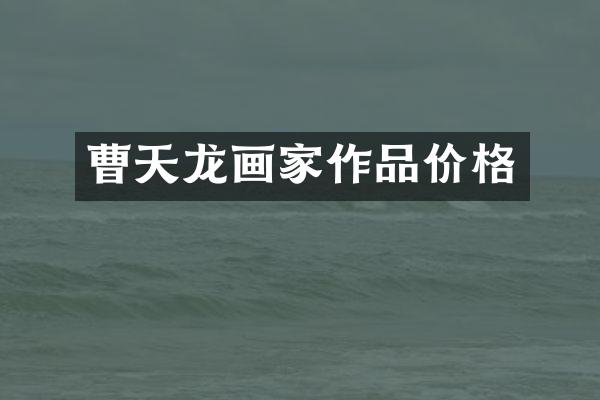 曹天龙画家作品价格