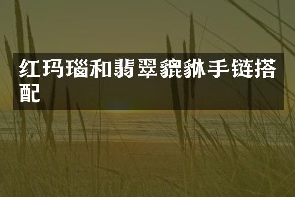 红玛瑙和翡翠貔貅手链搭配