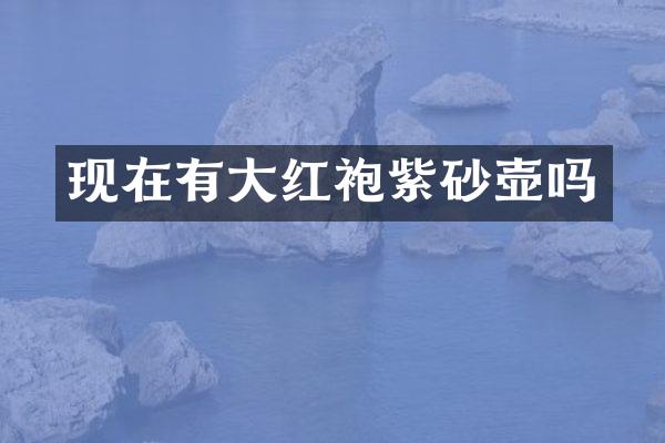 现在有大红袍紫砂壶吗