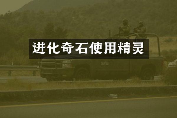 进化奇石使用精灵