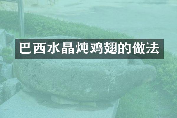 巴西水晶炖鸡翅的做法