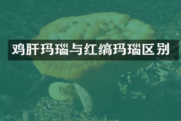 鸡肝玛瑙与红缟玛瑙区别