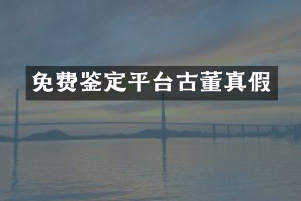 免费鉴定平台古董真假
